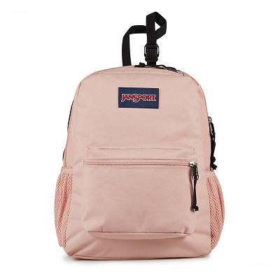 JanSport CENTRAL ADAPTIVE Laptop Backpacks Rose | Ireland_JS494