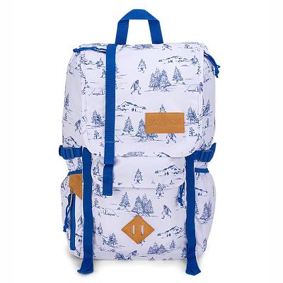 JanSport Hatchet Hiking Backpacks White / Blue | Ireland_JS348