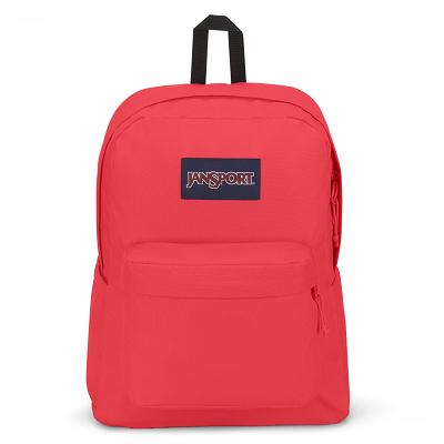 JanSport SuperBreak® Plus Laptop Backpacks Pink | Ireland_JS209