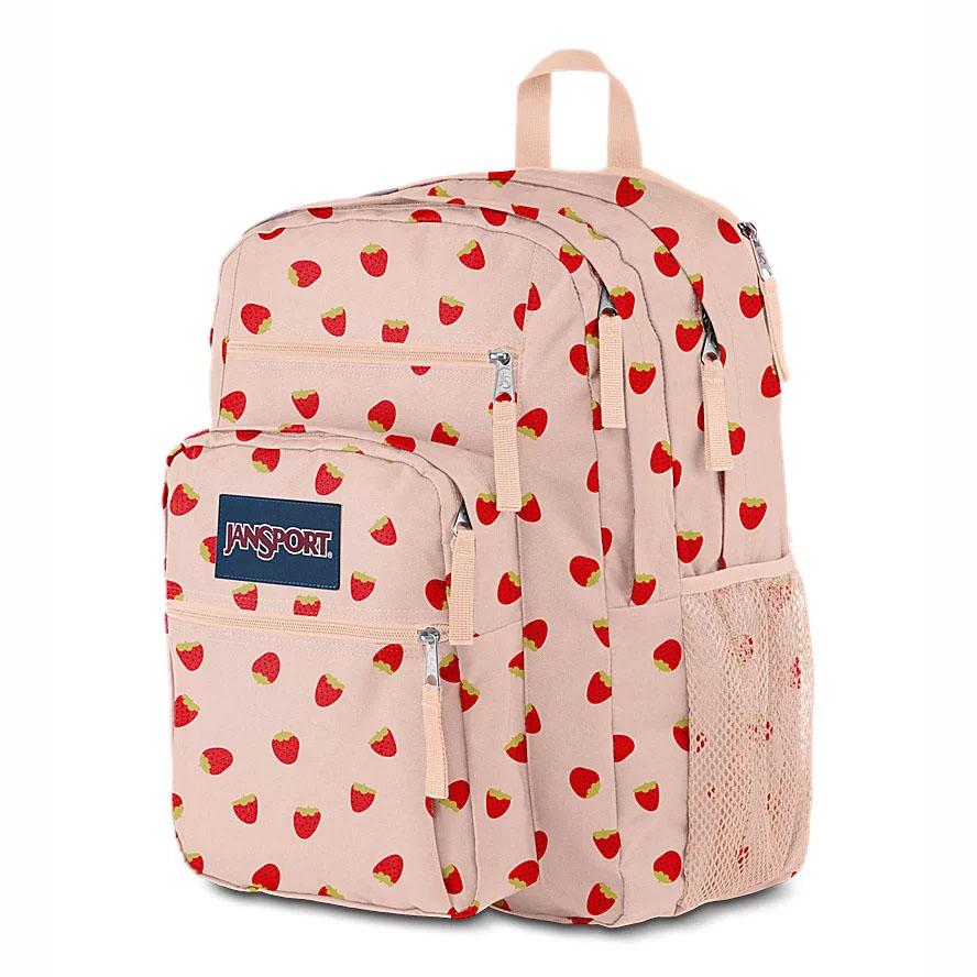 JanSport BIG STUDENT Laptop Backpacks Pink | Ireland_JS061