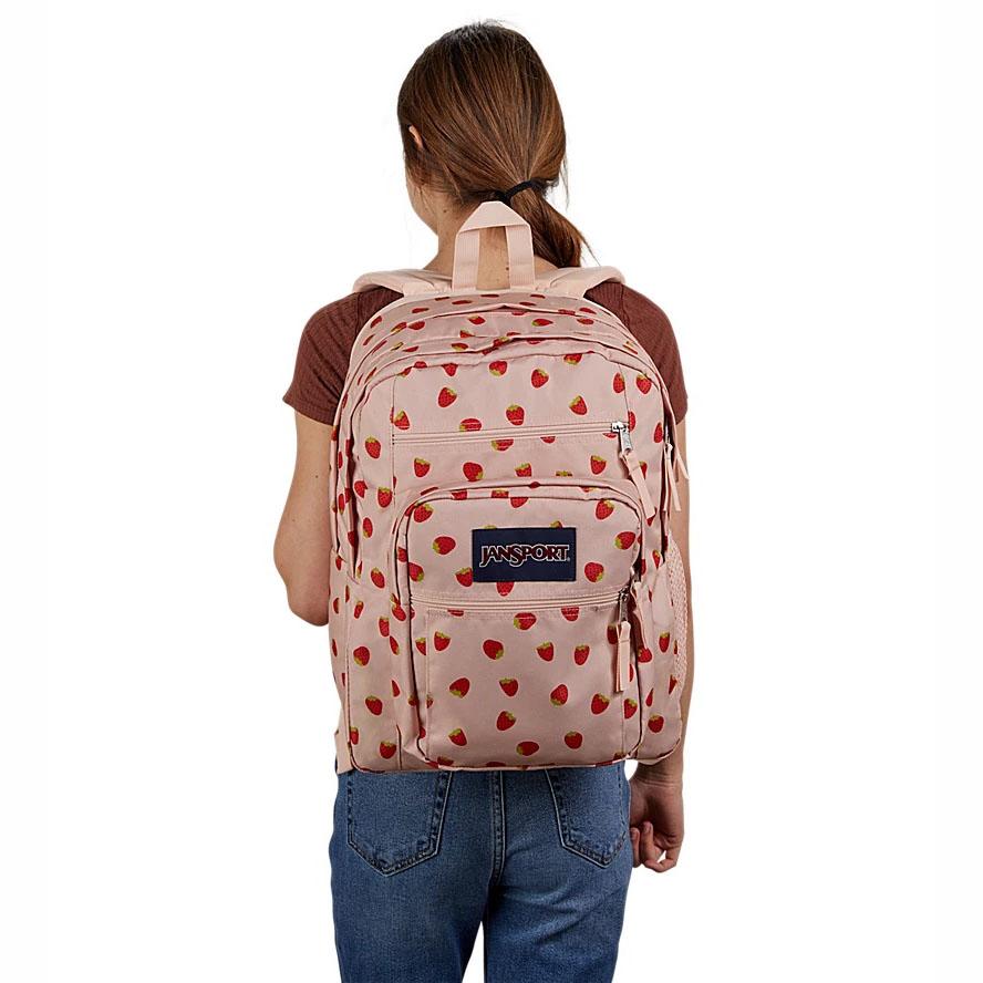 JanSport BIG STUDENT Laptop Backpacks Pink | Ireland_JS061