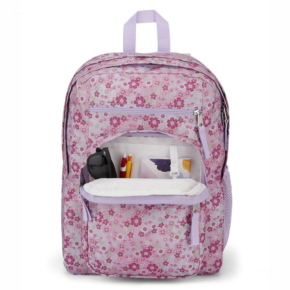 JanSport BIG STUDENT Laptop Backpacks Pink | Ireland_JS129