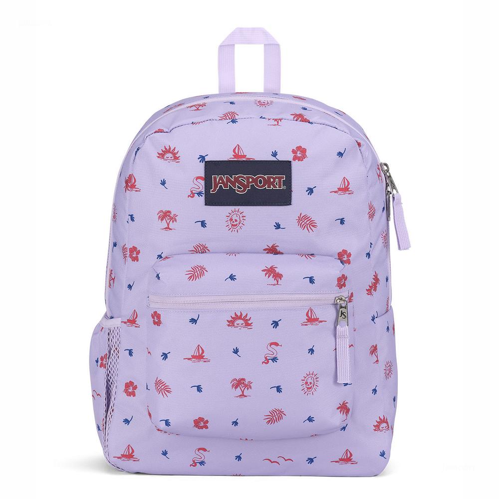 JanSport CROSS TOWN School Backpacks Light Purple | Ireland_JS511