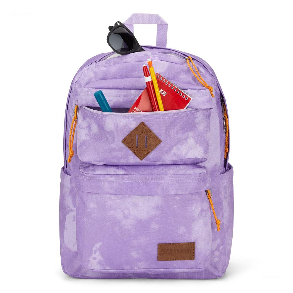 JanSport Double Break Laptop Backpacks Purple | Ireland_JS572