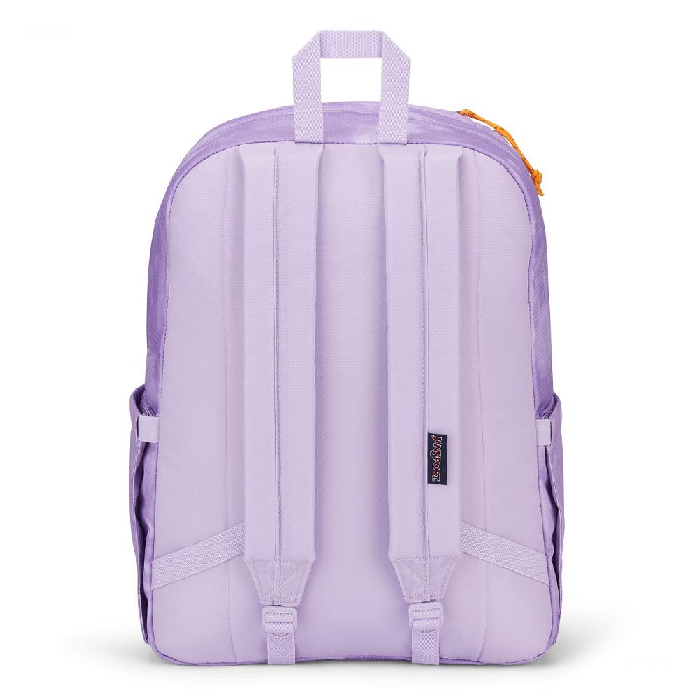 JanSport Double Break Laptop Backpacks Purple | Ireland_JS572