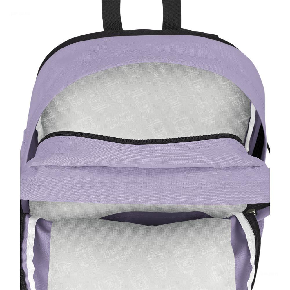 JanSport Main Campus Laptop Backpacks Purple | Ireland_JS512