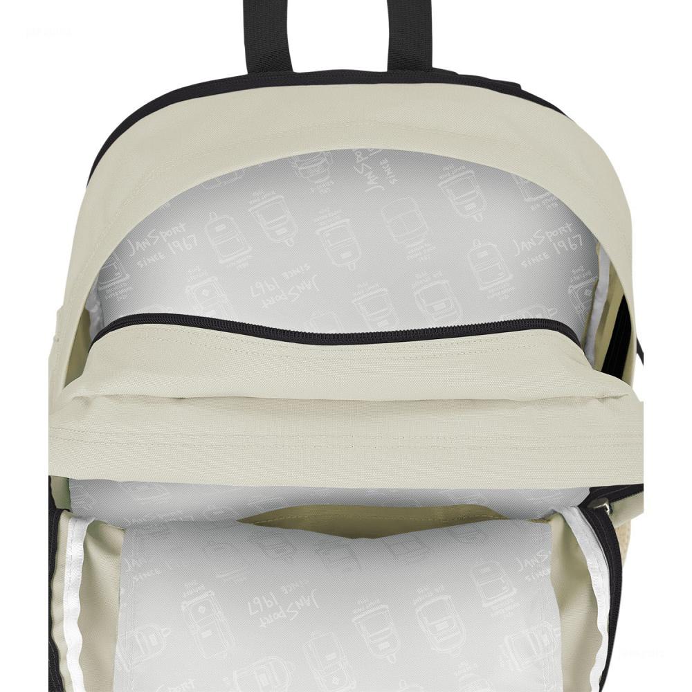 JanSport Main Campus School Backpacks Beige | Ireland_JS205