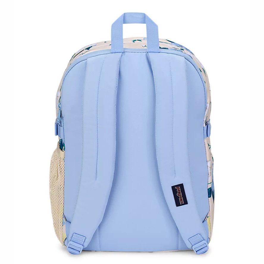 JanSport Main Campus School Backpacks Blue / Yellow | Ireland_JS239