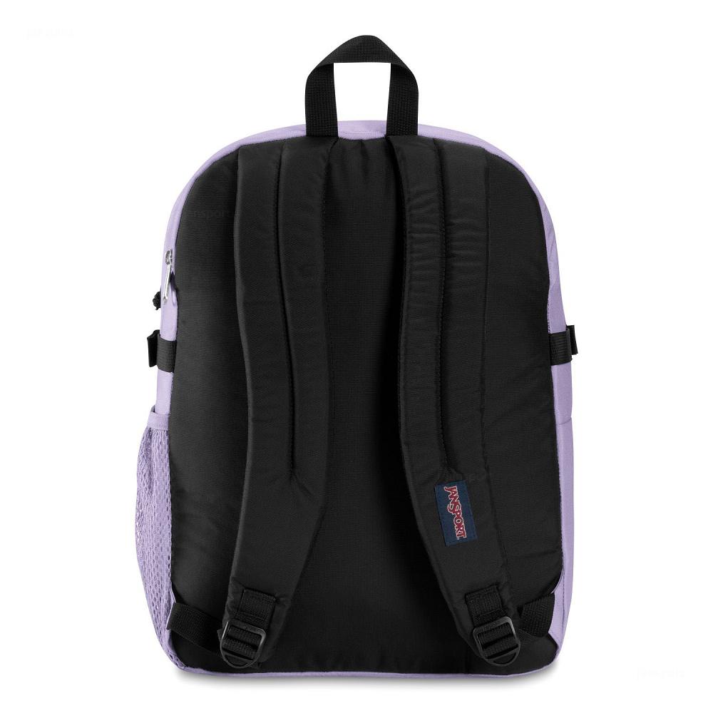 JanSport Main Campus School Backpacks Purple | Ireland_JS199