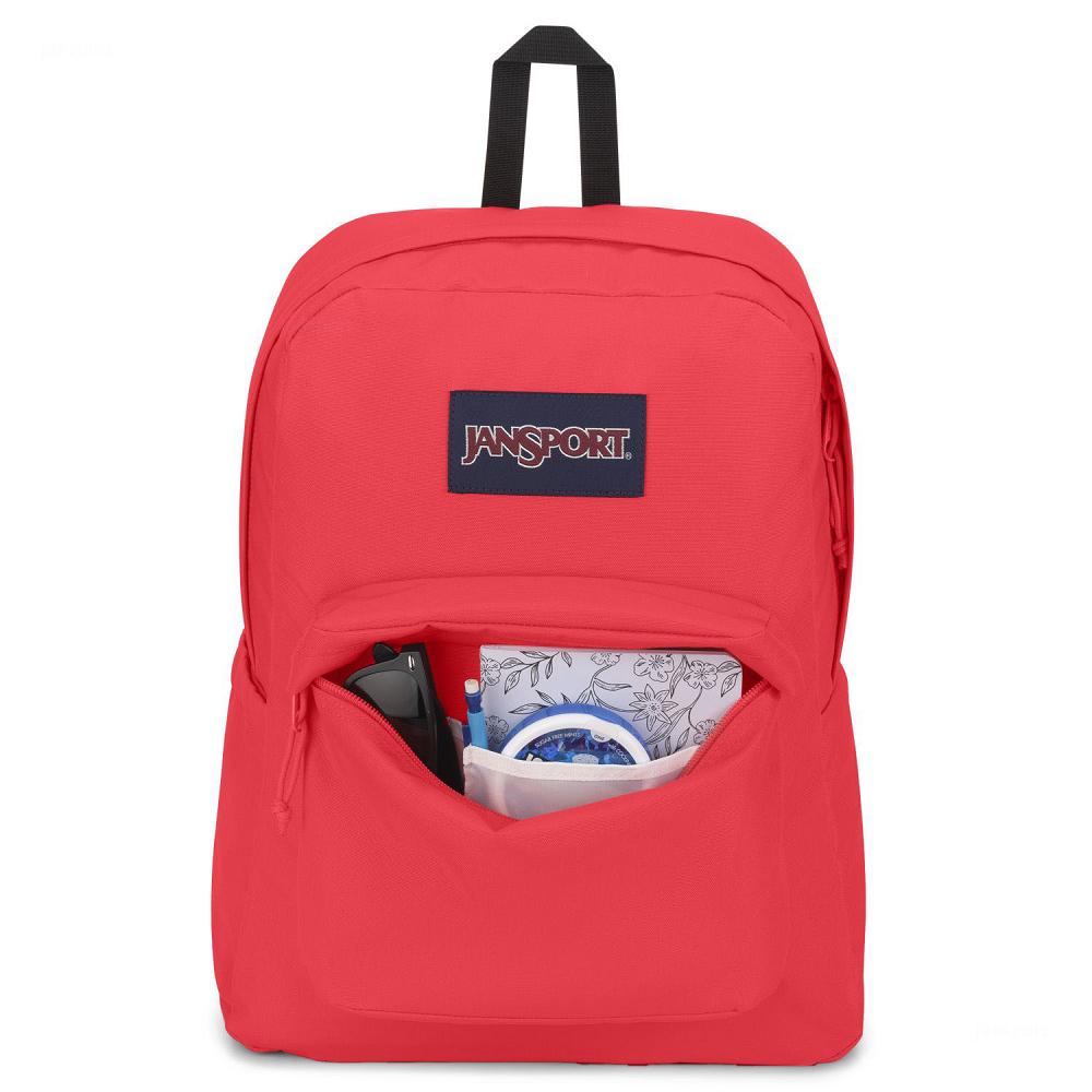 JanSport SuperBreak® Plus Laptop Backpacks Pink | Ireland_JS209