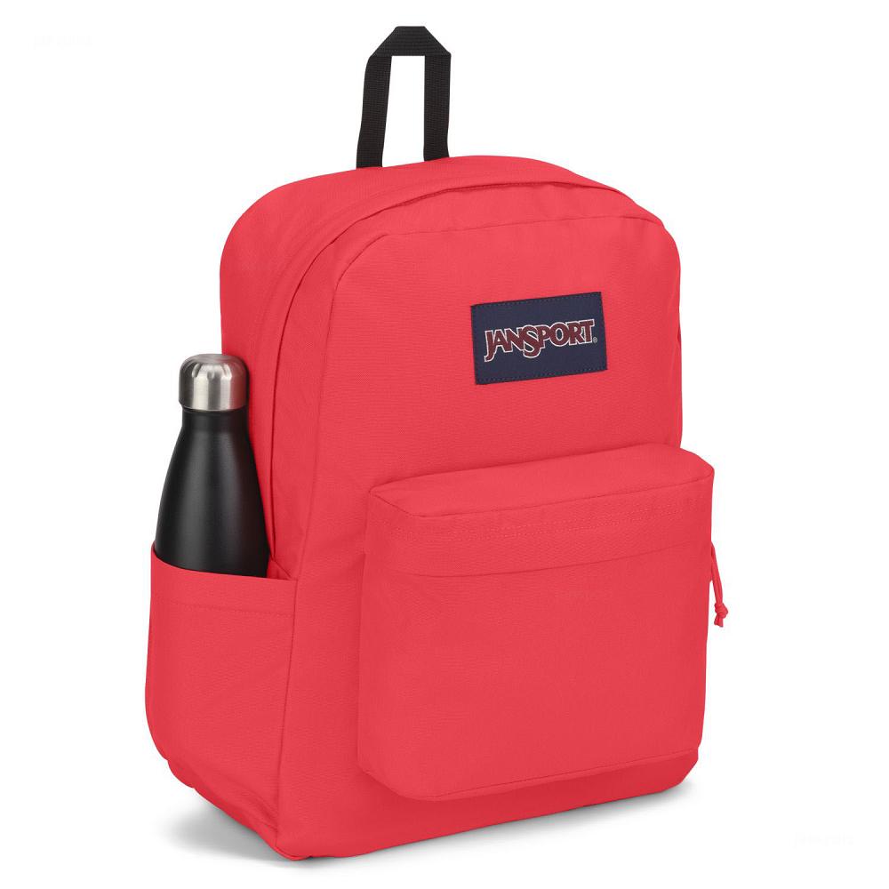 JanSport SuperBreak® Plus Laptop Backpacks Pink | Ireland_JS209