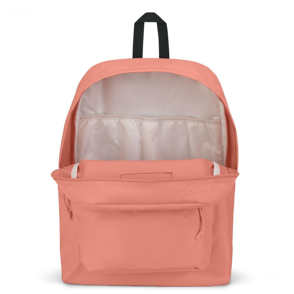 JanSport SuperBreak® Plus Laptop Backpacks Rose | Ireland_JS398