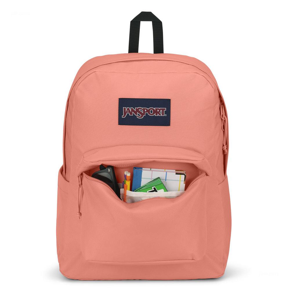 JanSport SuperBreak® Plus Laptop Backpacks Rose | Ireland_JS398