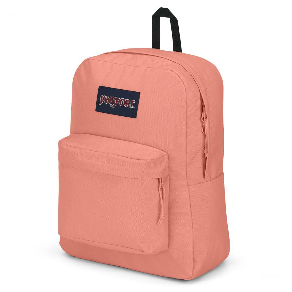 JanSport SuperBreak® Plus Laptop Backpacks Rose | Ireland_JS398