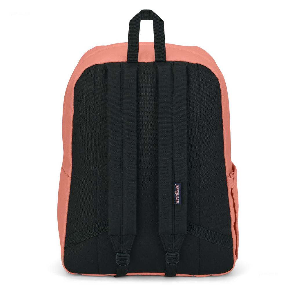 JanSport SuperBreak® Plus Laptop Backpacks Rose | Ireland_JS398