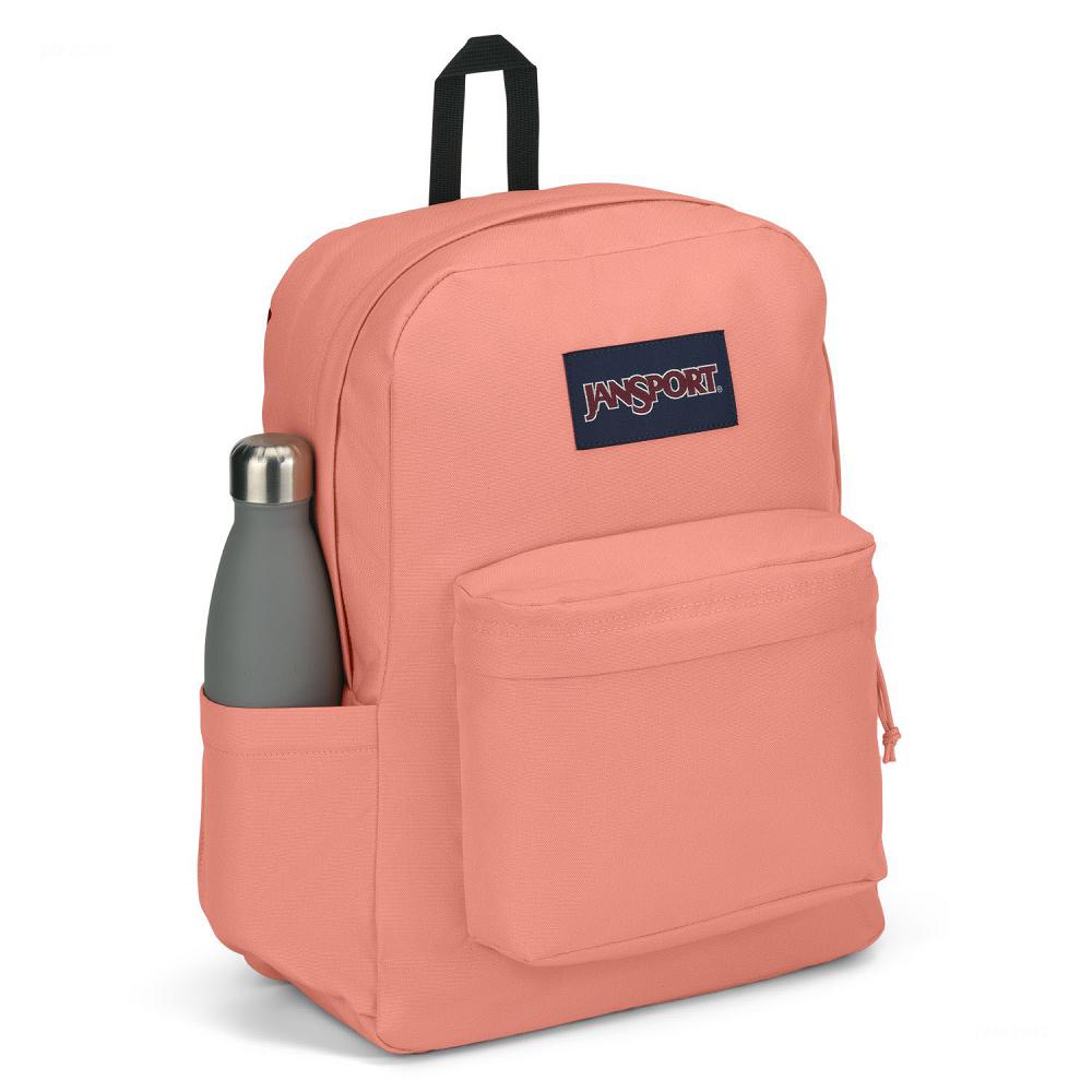 JanSport SuperBreak® Plus Laptop Backpacks Rose | Ireland_JS398