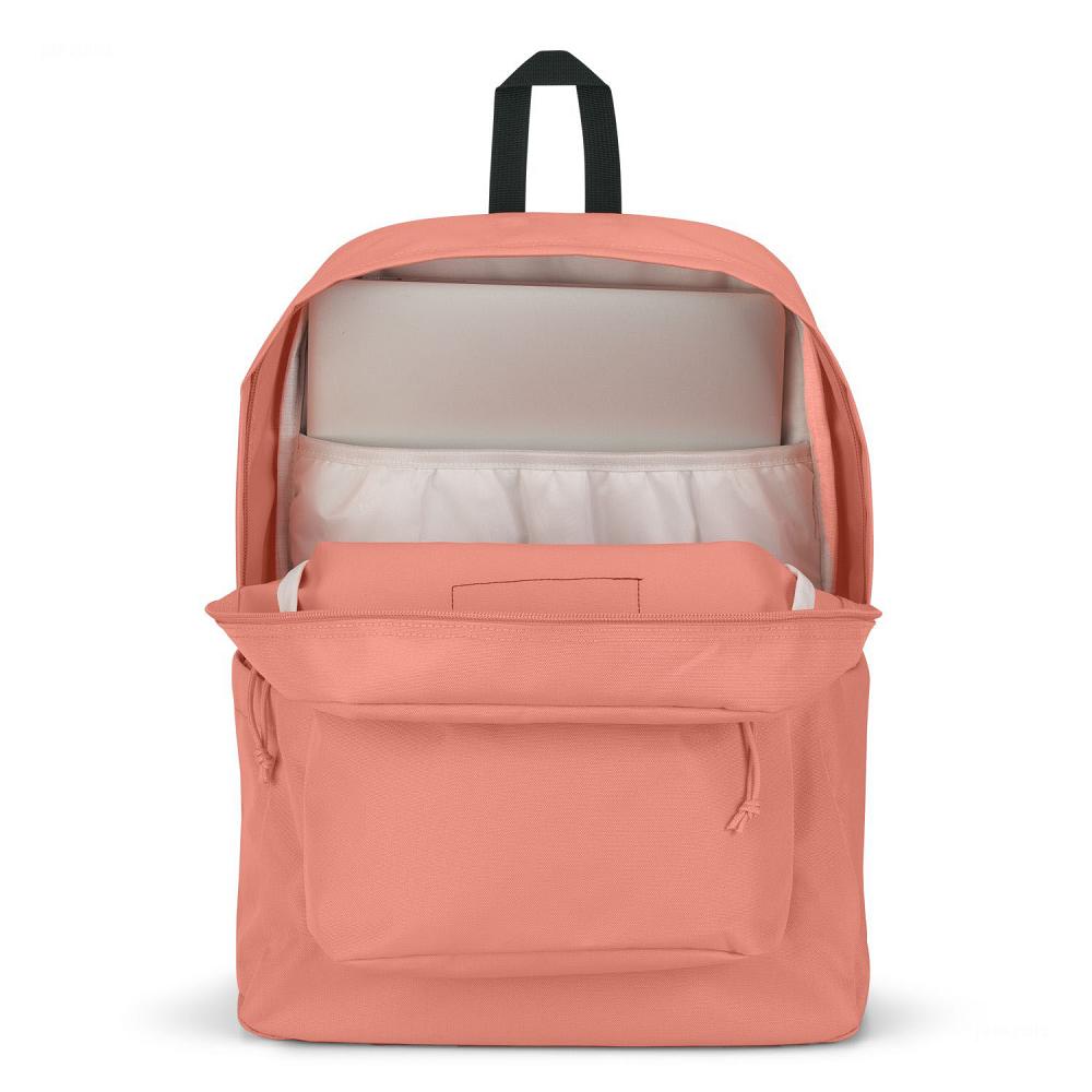 JanSport SuperBreak® Plus Laptop Backpacks Rose | Ireland_JS398