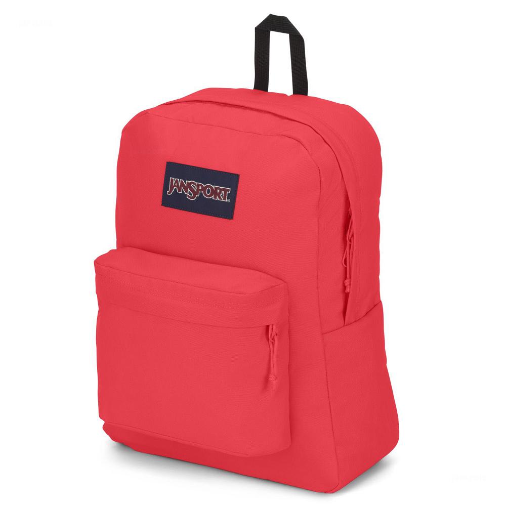 JanSport SuperBreak® Plus School Backpacks Pink | Ireland_JS012