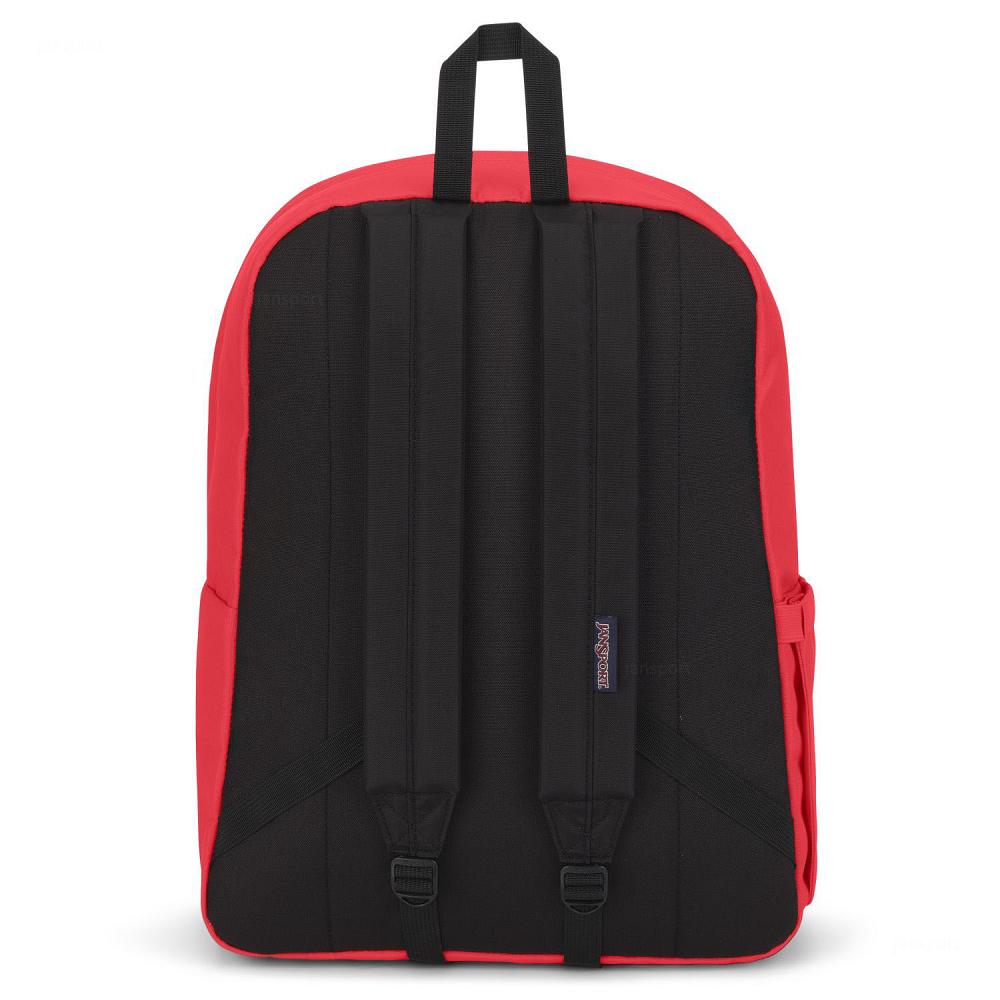 JanSport SuperBreak® Plus School Backpacks Pink | Ireland_JS012