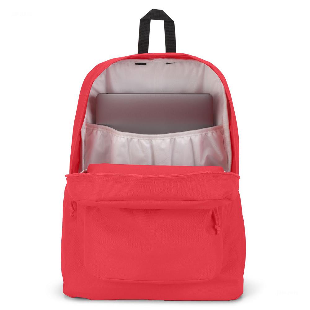 JanSport SuperBreak® Plus School Backpacks Pink | Ireland_JS012