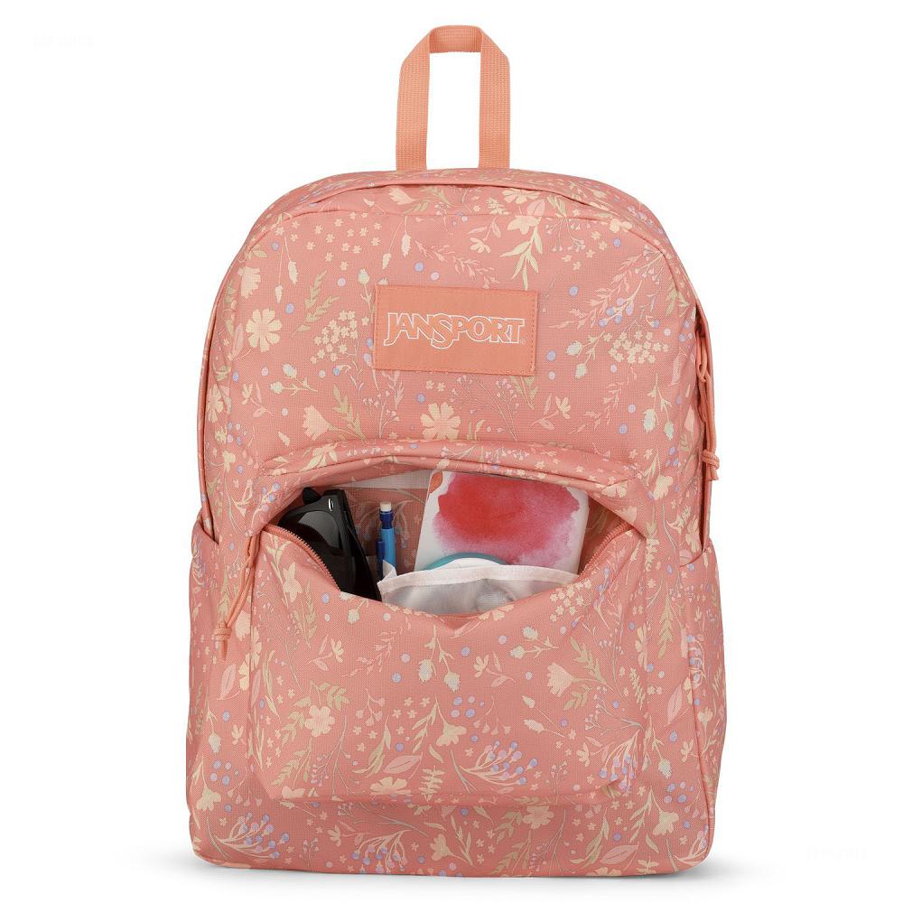 JanSport SuperBreak® Plus School Backpacks Rose | Ireland_JS369