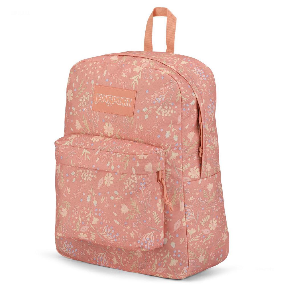 JanSport SuperBreak® Plus School Backpacks Rose | Ireland_JS369