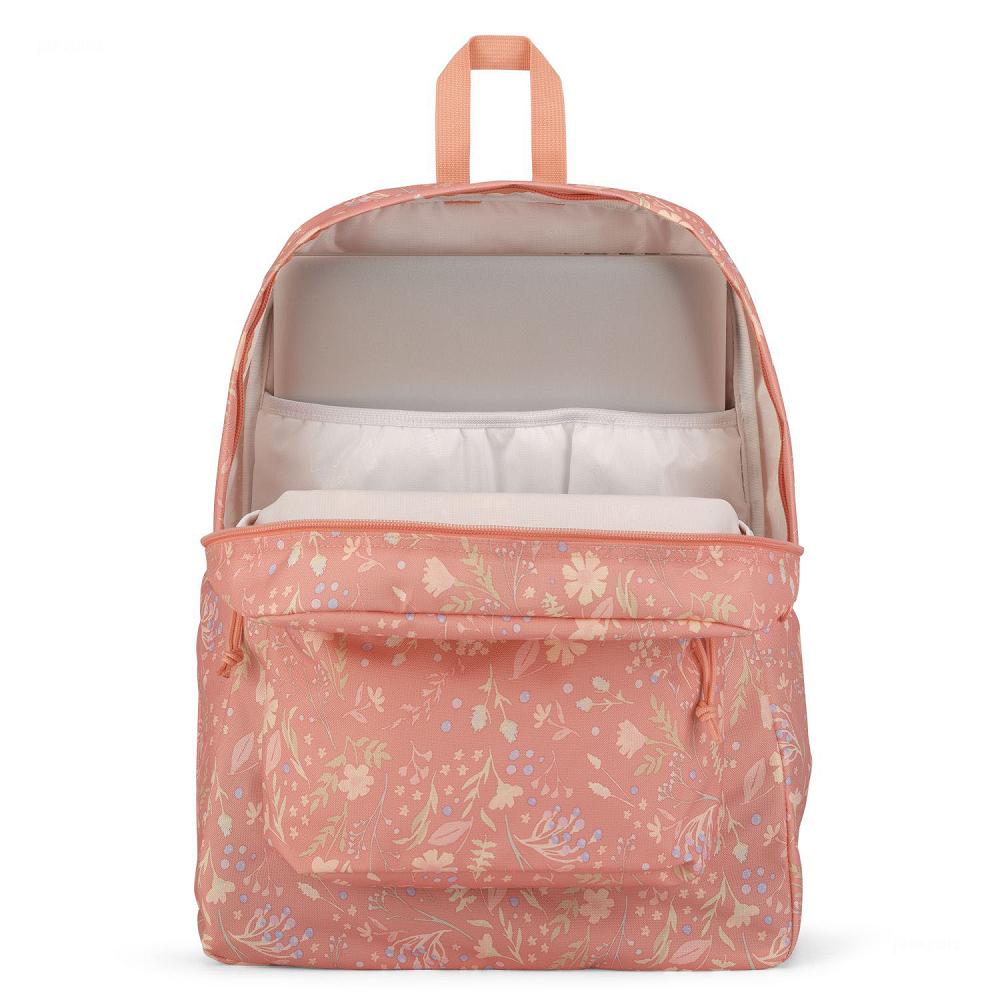 JanSport SuperBreak® Plus School Backpacks Rose | Ireland_JS369