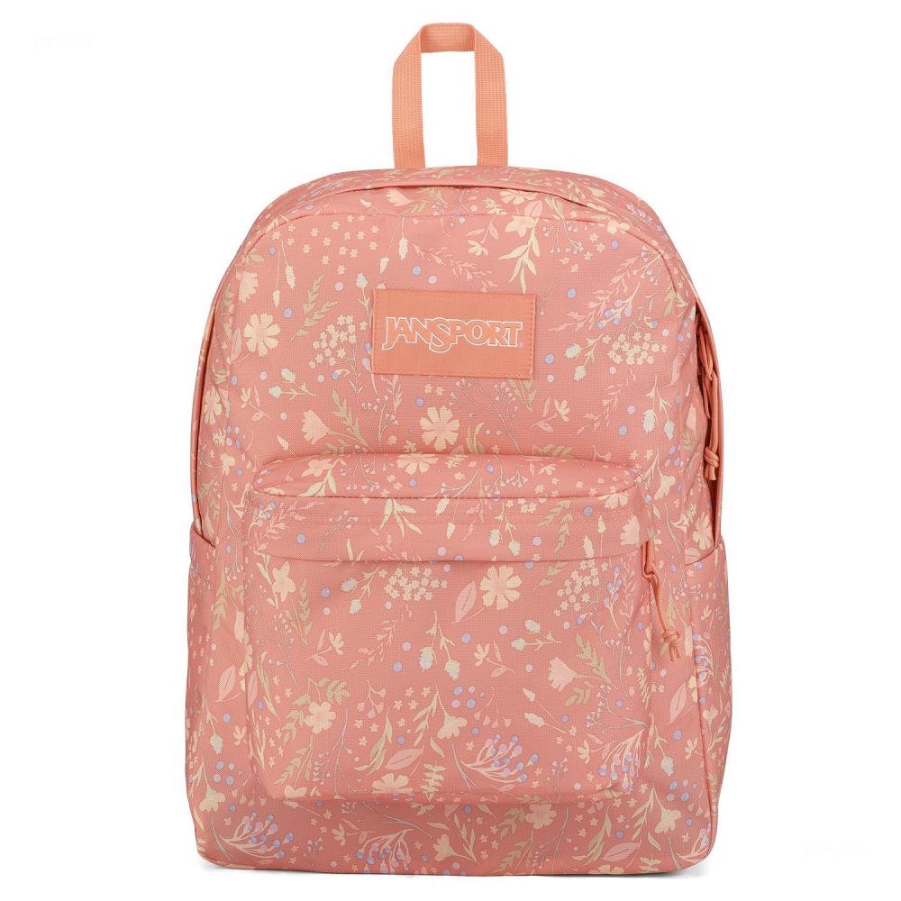 JanSport SuperBreak® Plus School Backpacks Rose | Ireland_JS369