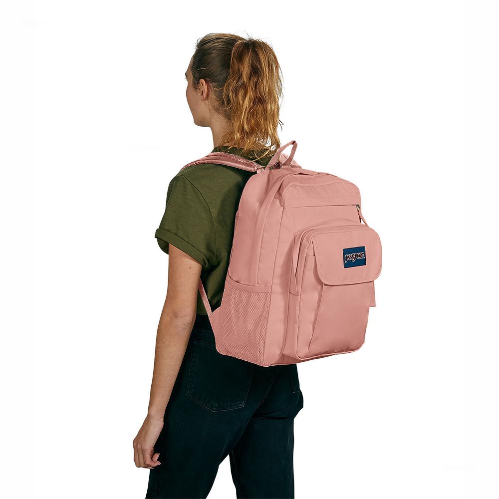 JanSport UNION PACK Laptop Backpacks Rose | Ireland_JS457