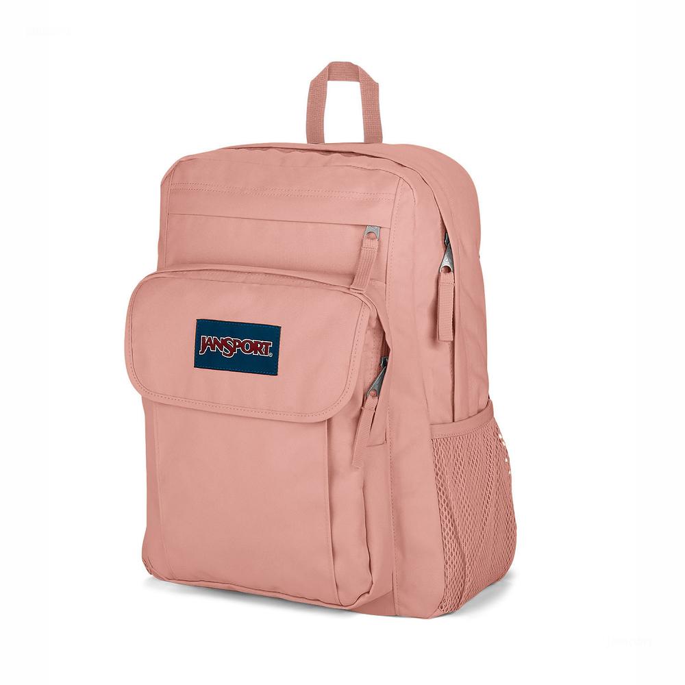 JanSport UNION PACK Laptop Backpacks Rose | Ireland_JS457