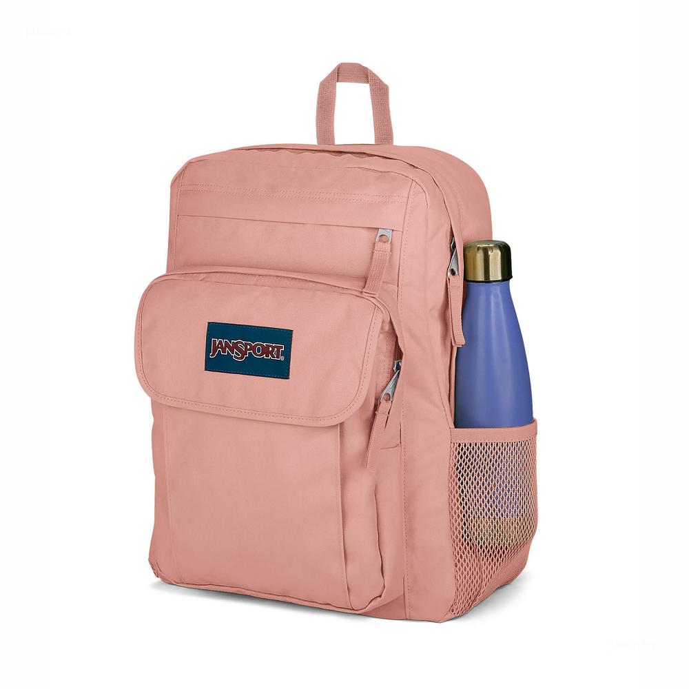 JanSport UNION PACK Laptop Backpacks Rose | Ireland_JS457